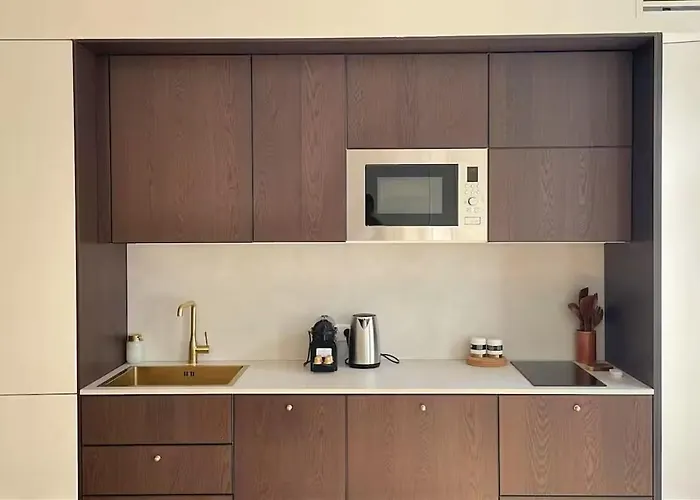 4p 1br - Fully Renovated With Ac - Champs-elysees *